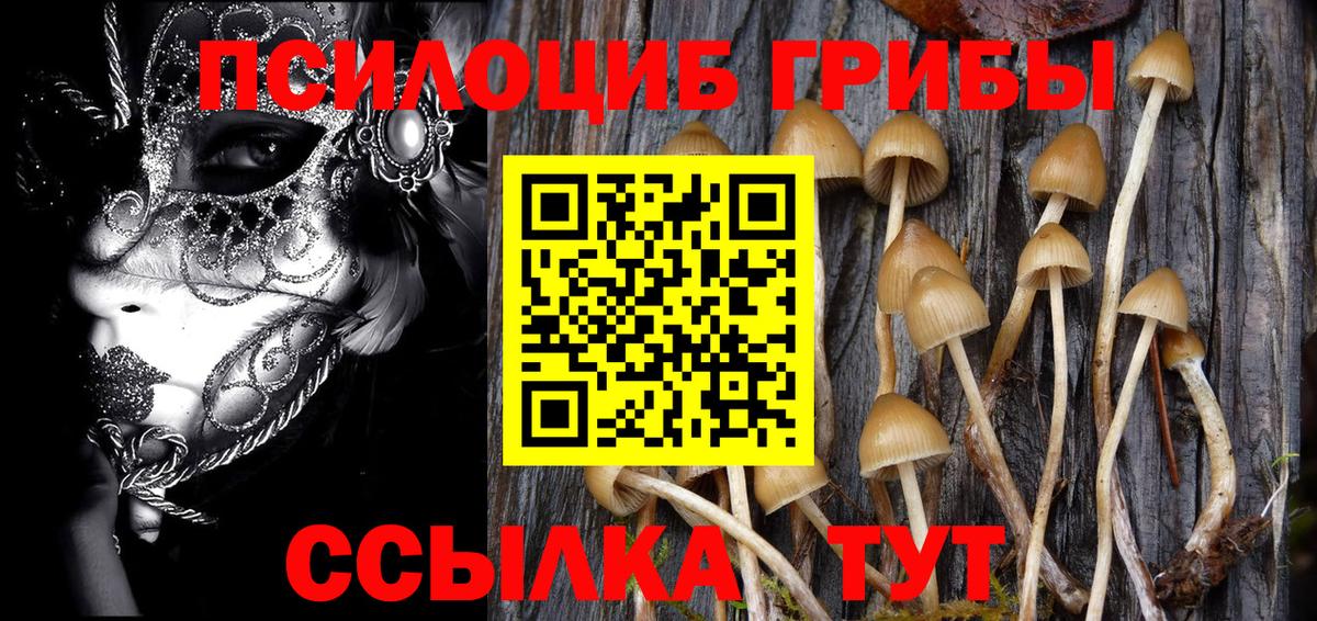 Галлюциногенные грибы Psilocybine cubensis Жигулёвск