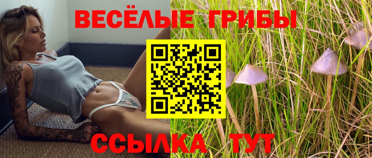 закладка  Галлюциногенные грибы Psilocybine cubensis  Вход с VPN  Жигулёвск 